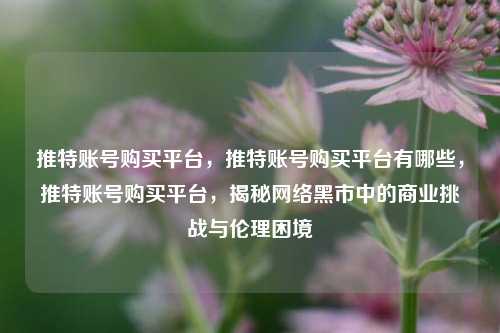 推特账号购买平台，推特账号购买平台有哪些，推特账号购买平台，揭秘网络黑市中的商业挑战与伦理困境