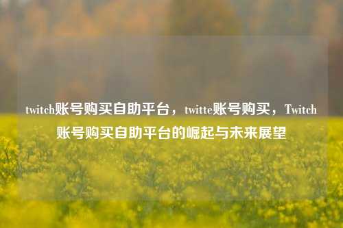 twitch账号购买自助平台，twitte账号购买，Twitch账号购买自助平台的崛起与未来展望