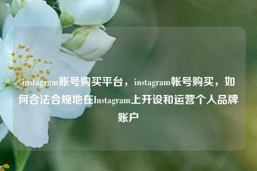 instagram账号购买平台，instagram帐号购买，如何合法合规地在Instagram上开设和运营个人品牌账户