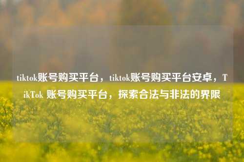 tiktok账号购买平台，tiktok账号购买平台安卓，TikTok 账号购买平台，探索合法与非法的界限