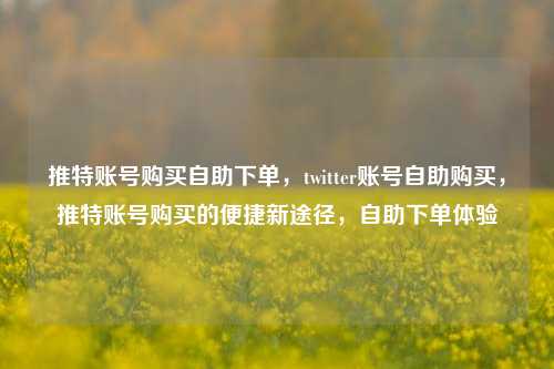 推特账号购买自助下单，twitter账号自助购买，推特账号购买的便捷新途径，自助下单体验