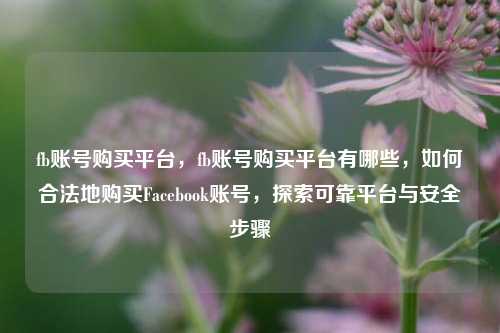 fb账号购买平台，fb账号购买平台有哪些，如何合法地购买Facebook账号，探索可靠平台与安全步骤