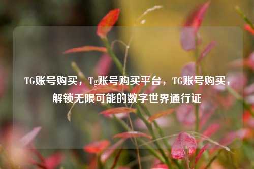 TG账号购买，Tg账号购买平台，TG账号购买，解锁无限可能的数字世界通行证