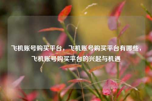 飞机账号购买平台，飞机账号购买平台有哪些，飞机账号购买平台的兴起与机遇