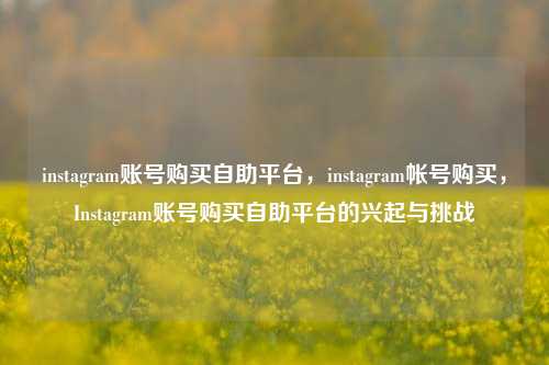instagram账号购买自助平台，instagram帐号购买，Instagram账号购买自助平台的兴起与挑战