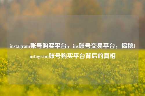 instagram账号购买平台，ins账号交易平台，揭秘Instagram账号购买平台背后的真相