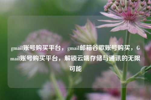 gmail账号购买平台，gmail邮箱谷歌账号购买，Gmail账号购买平台，解锁云端存储与通讯的无限可能