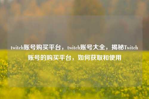 twitch账号购买平台，twitch账号大全，揭秘Twitch账号的购买平台，如何获取和使用