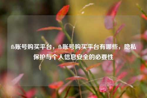 fb账号购买平台，fb账号购买平台有哪些，隐私保护与个人信息安全的必要性