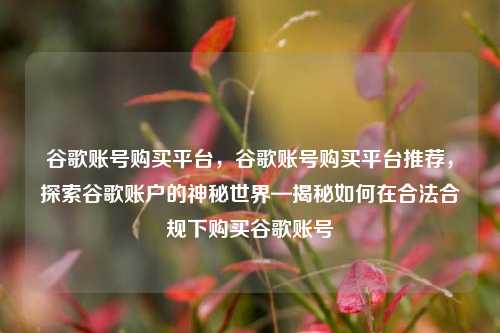 谷歌账号购买平台，谷歌账号购买平台推荐，探索谷歌账户的神秘世界—揭秘如何在合法合规下购买谷歌账号