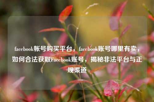 facebook帐号购买平台，facebook账号哪里有卖，如何合法获取Facebook账号，揭秘非法平台与正规渠道