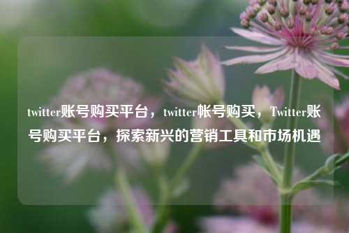 twitter账号购买平台，twitter帐号购买，Twitter账号购买平台，探索新兴的营销工具和市场机遇