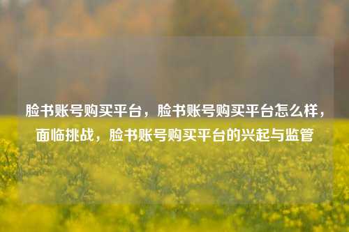 脸书账号购买平台，脸书账号购买平台怎么样，面临挑战，脸书账号购买平台的兴起与监管