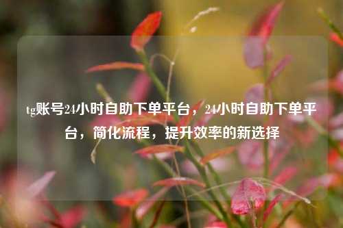 tg账号24小时自助下单平台，24小时自助下单平台，简化流程，提升效率的新选择