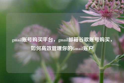 gmail账号购买平台，gmail邮箱谷歌账号购买，如何高效管理你的Gmail账户