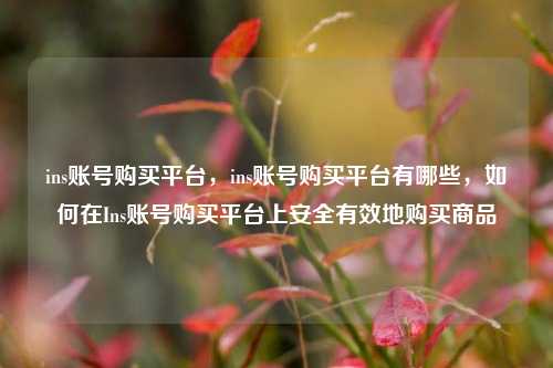 ins账号购买平台，ins账号购买平台有哪些，如何在Ins账号购买平台上安全有效地购买商品