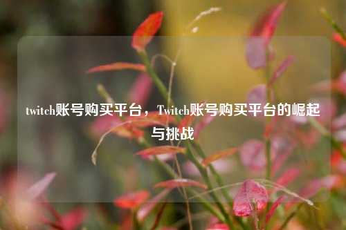 twitch账号购买平台，Twitch账号购买平台的崛起与挑战
