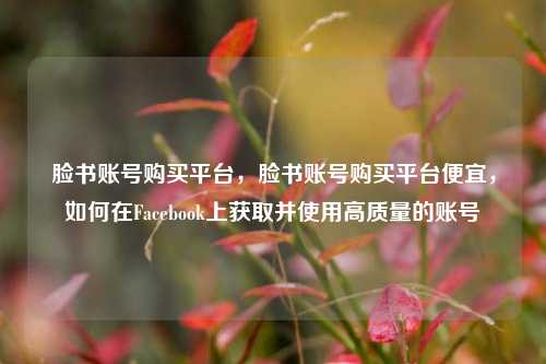 脸书账号购买平台，脸书账号购买平台便宜，如何在Facebook上获取并使用高质量的账号