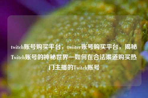 twitch账号购买平台，twiiter账号购买平台，揭秘Twitch账号的神秘世界—如何在合法渠道购买热门主播的Twitch账号