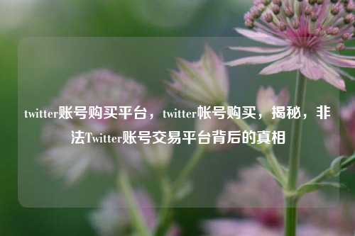 twitter账号购买平台，twitter帐号购买，揭秘，非法Twitter账号交易平台背后的真相