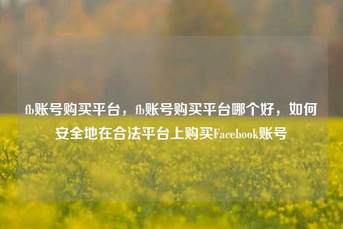 fb账号购买平台，fb账号购买平台哪个好，如何安全地在合法平台上购买Facebook账号