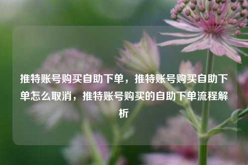 推特账号购买自助下单，推特账号购买自助下单怎么取消，推特账号购买的自助下单流程解析