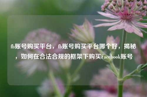 fb账号购买平台，fb账号购买平台哪个好，揭秘，如何在合法合规的框架下购买Facebook账号