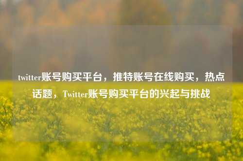 twitter账号购买平台，推特账号在线购买，热点话题，Twitter账号购买平台的兴起与挑战