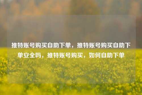 推特账号购买自助下单，推特账号购买自助下单安全吗，推特账号购买，如何自助下单