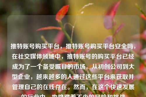 推特账号购买平台，推特账号购买平台安全吗，在社交媒体领域中，推特账号的购买平台已经成为了一个备受瞩目的市场。从初创公司到大型企业，越来越多的人通过这些平台来获取并管理自己的在线存在。然而，在这个快速发展的行业中，也隐藏着不少的风险和挑战
