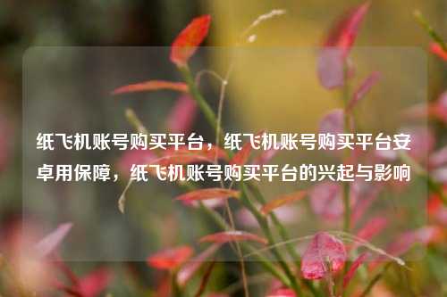纸飞机账号购买平台，纸飞机账号购买平台安卓用保障，纸飞机账号购买平台的兴起与影响  第1张