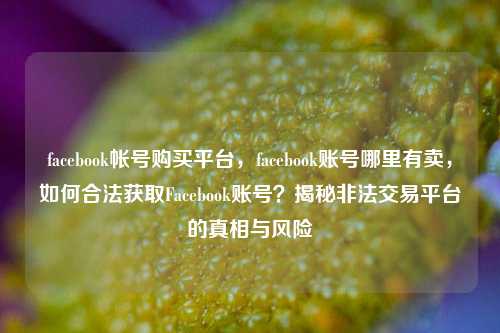 facebook帐号购买平台，facebook账号哪里有卖，如何合法获取Facebook账号？揭秘非法交易平台的真相与风险
