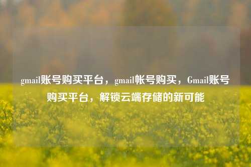gmail账号购买平台，gmail帐号购买，Gmail账号购买平台，解锁云端存储的新可能