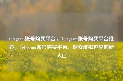 telegram账号购买平台，Telegram账号购买平台推荐，Telegram账号购买平台，探索虚拟世界的新入口