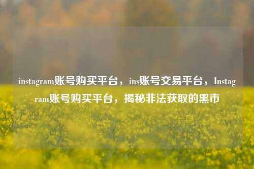 instagram账号购买平台，ins账号交易平台，Instagram账号购买平台，揭秘非法获取的黑市