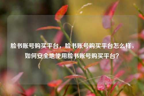 脸书账号购买平台，脸书账号购买平台怎么样，如何安全地使用脸书账号购买平台？