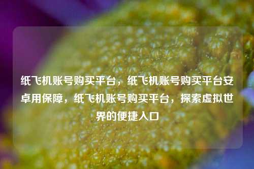 纸飞机账号购买平台，纸飞机账号购买平台安卓用保障，纸飞机账号购买平台，探索虚拟世界的便捷入口