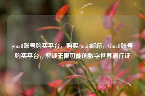 gmail账号购买平台，购买gmail邮箱，Gmail账号购买平台，解锁无限可能的数字世界通行证
