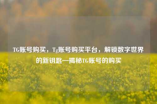 TG账号购买，Tg账号购买平台，解锁数字世界的新钥匙—揭秘TG账号的购买
