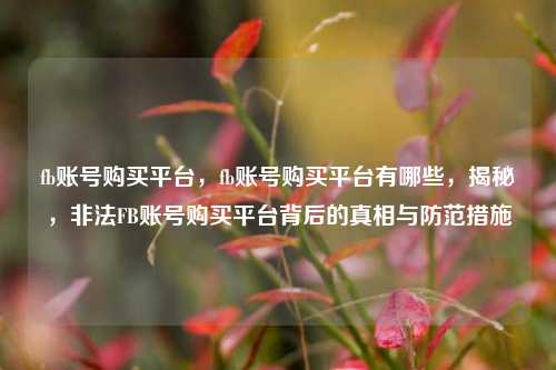 fb账号购买平台，fb账号购买平台有哪些，揭秘，非法FB账号购买平台背后的真相与防范措施