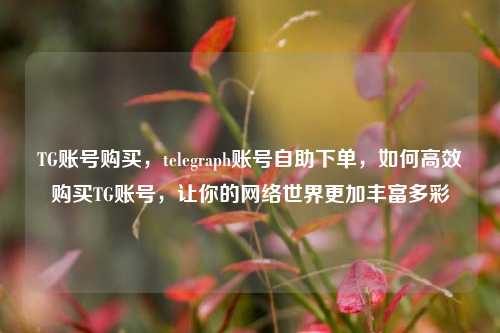 TG账号购买，telegraph账号自助下单，如何高效购买TG账号，让你的网络世界更加丰富多彩