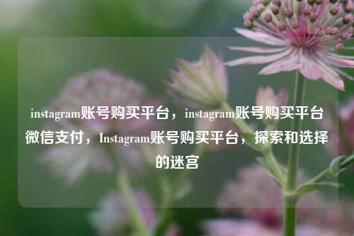 instagram账号购买平台，instagram账号购买平台微信支付	，Instagram账号购买平台，探索和选择的迷宫  第1张