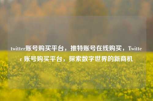 twitter账号购买平台，推特账号在线购买，Twitter 账号购买平台，探索数字世界的新商机