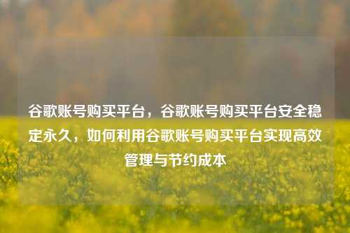 谷歌账号购买平台，谷歌账号购买平台安全稳定永久，如何利用谷歌账号购买平台实现高效管理与节约成本