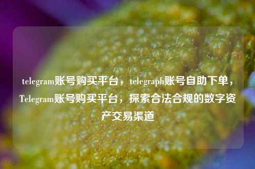 telegram账号购买平台，telegraph账号自助下单，Telegram账号购买平台，探索合法合规的数字资产交易渠道