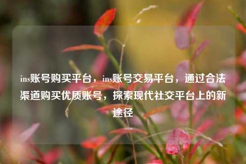 ins账号购买平台，ins账号交易平台，通过合法渠道购买优质账号，探索现代社交平台上的新途径