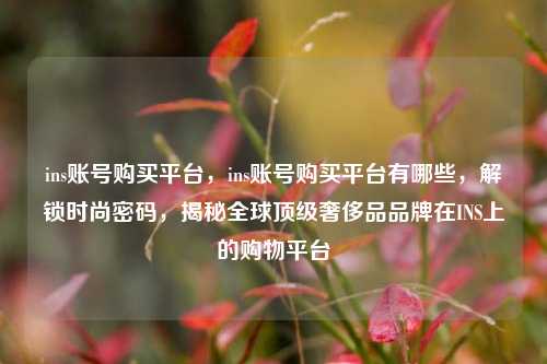ins账号购买平台，ins账号购买平台有哪些，解锁时尚密码，揭秘全球顶级奢侈品品牌在INS上的购物平台
