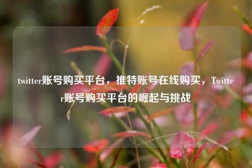 twitter账号购买平台，推特账号在线购买，Twitter账号购买平台的崛起与挑战