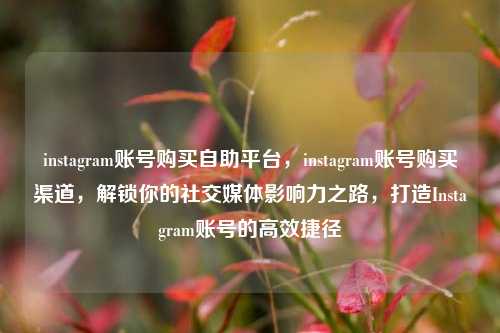 instagram账号购买自助平台，instagram账号购买渠道，解锁你的社交媒体影响力之路，打造Instagram账号的高效捷径