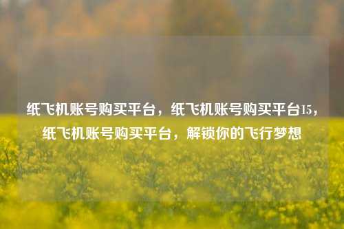 纸飞机账号购买平台，纸飞机账号购买平台15，纸飞机账号购买平台，解锁你的飞行梦想